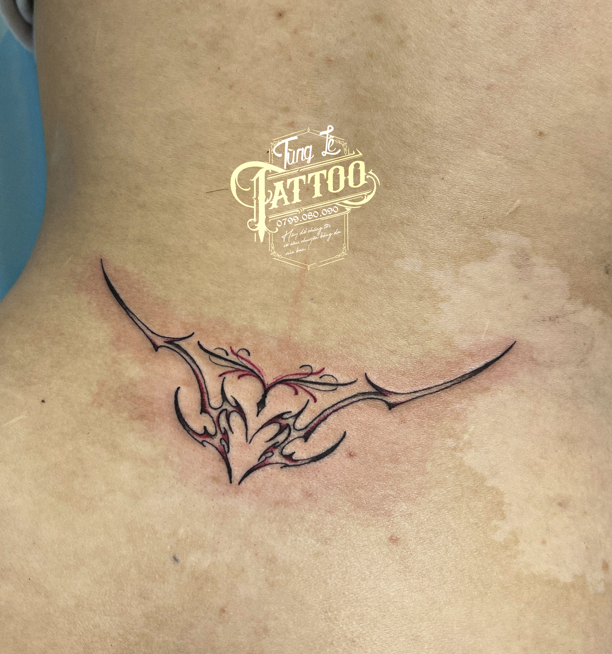 z3992330068769 895a34221c34bd97b1ff9955d9510db8